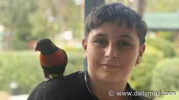Incredible moment boy, 12, risks dangerous climb to rescue puppy stranded on apartment ledge