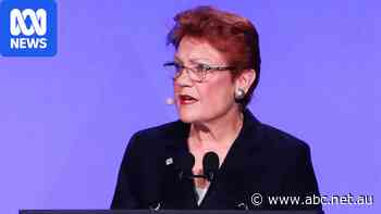'Don't go there': Pauline Hanson fires up in Q&A over White Australia policy