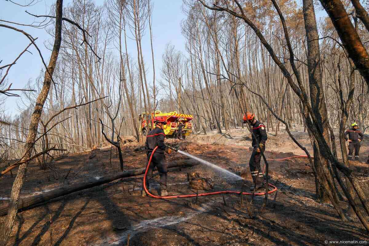 « Les hommes, le matériel, les avions sont grandement mis à contribution » : pour les pompiers du Var, l’enjeu est de durer et de préserver les forces, au début d’une semaine à haut risque