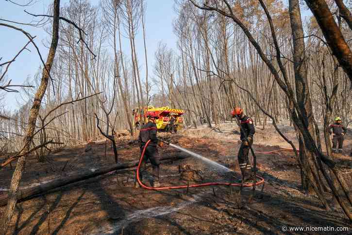 « Les hommes, le matériel, les avions sont grandement mis à contribution » : pour les pompiers du Var, l’enjeu est de durer et de préserver les forces, au début d’une semaine à haut risque