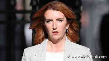 STEPHEN DAISLEY: Louise Haigh, the convicted fraudster who's now Burnham's Enforcer. And beware, her hair may no longer be deep red, but her politics still are...