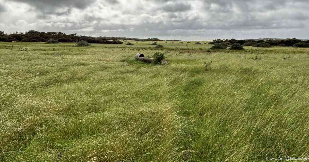Opportunity for first-time buyers with sale of Paddy's Lakes in SA