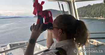 Churro the Burro’s adventure on BC Ferries delights thousands