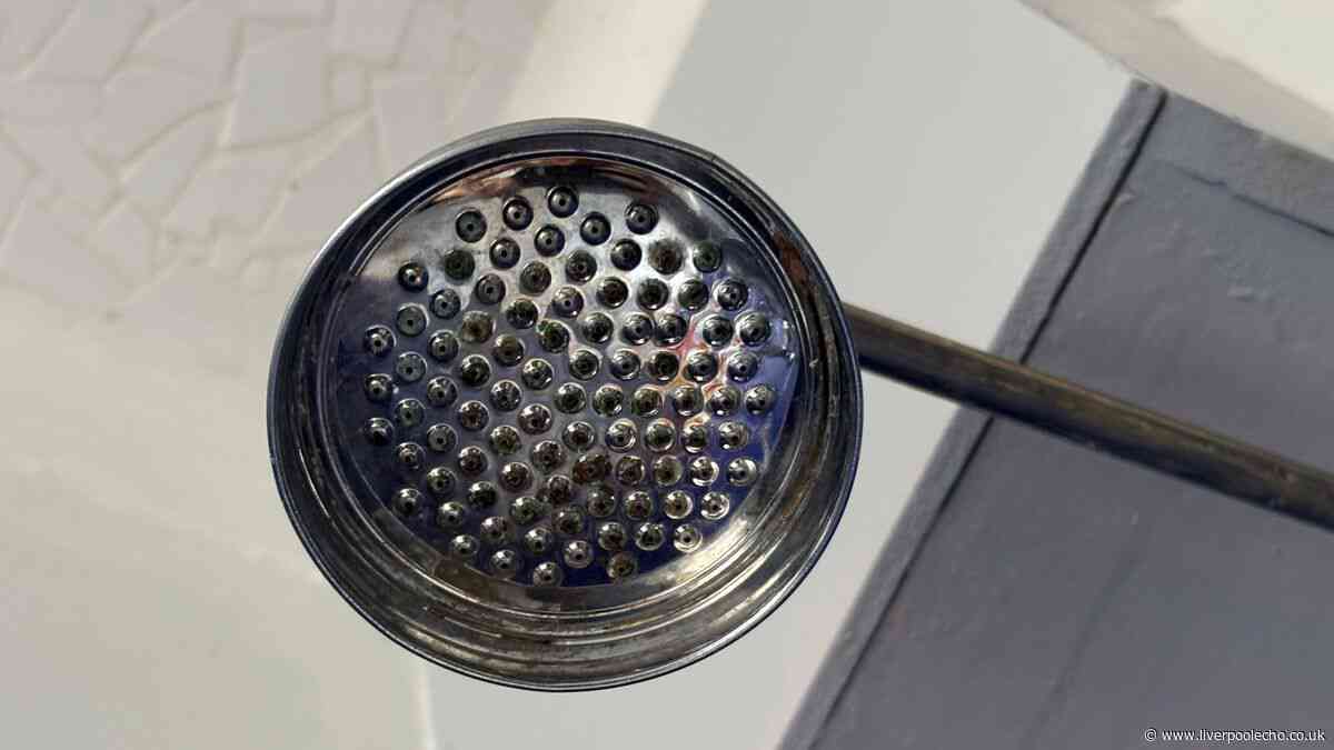 I cleaned my shower head with 37p kitchen item and it removed months of dirt