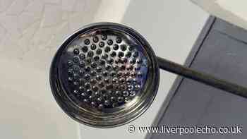 I cleaned my shower head with 37p kitchen item and it removed months of dirt