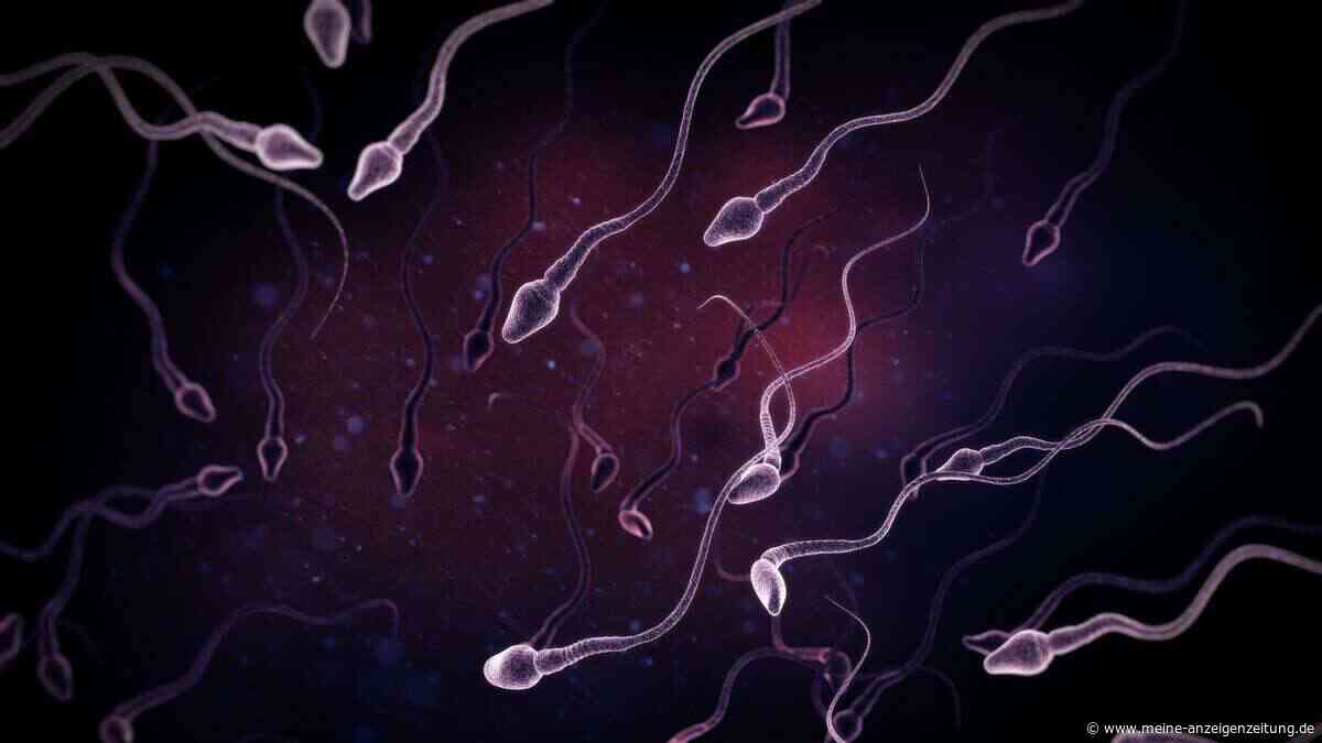 Forscher wollen Spermien im Labor nachbilden und melden wichtigen Durchbruch