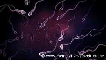 Forscher wollen Spermien im Labor nachbilden und melden wichtigen Durchbruch