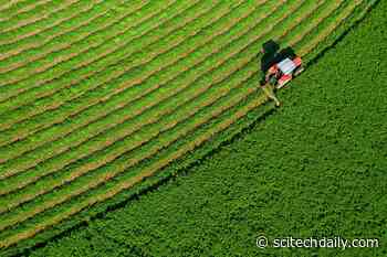 Healthier Eating Could Trigger a $630 Billion Farming Shake-Up
