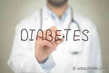A Hidden Protein-Folding Failure May Help Drive Diabetes