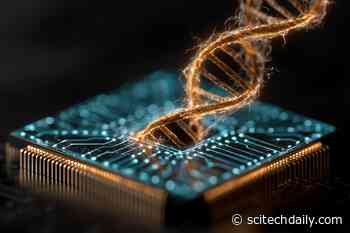 Harvard Scientists Turned a Silicon Chip Into a DNA Factory