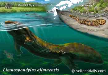 Mystery Bones Found in Japan Belong to a Giant Salamander Unlike Any Known