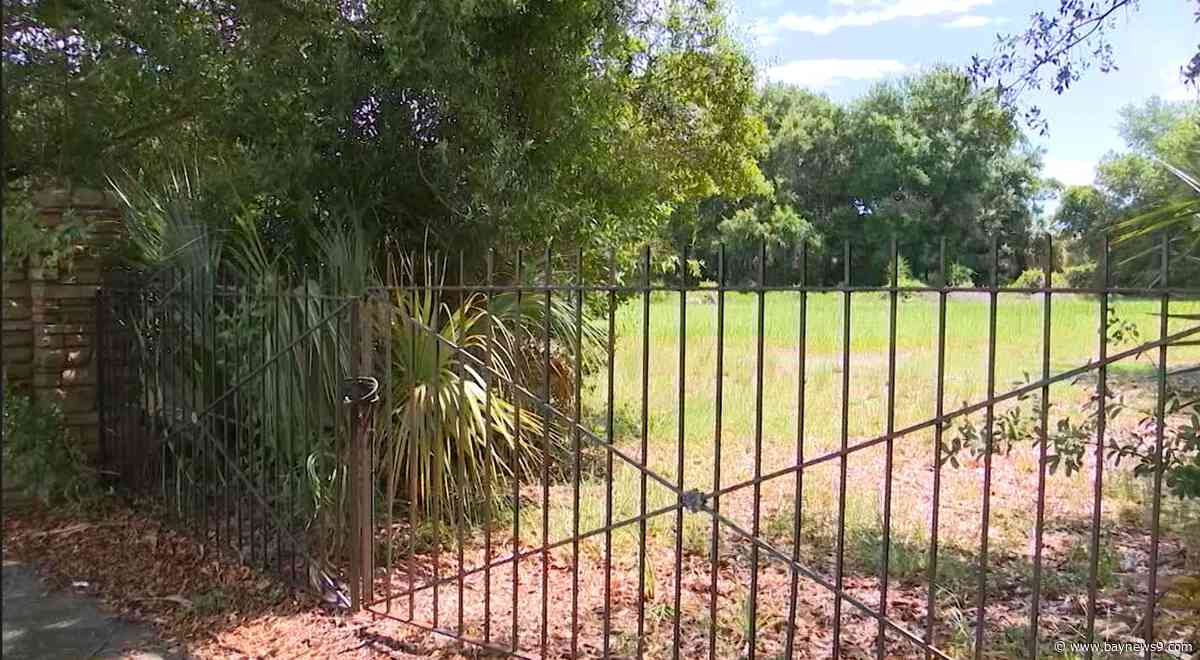 Tampa cemetery requesting change in land use; advocates worry about development on top of potential graves