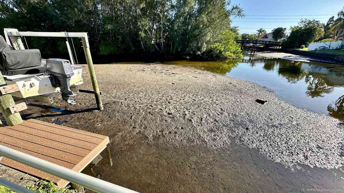 St. Pete one step away from getting Army Corps help with canal dredging study