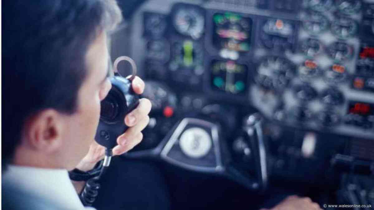 Spanish pilot's cruel World Cup prank leaves Argentina fans devastated mid-flight