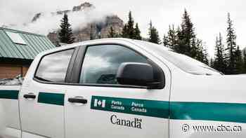 Inquiry hears avalanche danger moderate on day of fatal Alberta snow slide