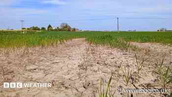 Is UK facing drought for second summer in a row?