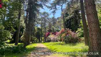 The beautiful Cheshire garden with a maze, picnic spots and a fun trail to visit this summer