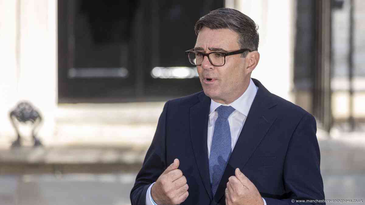 How convinced are Londoners by northern Prime Minister Andy Burnham?