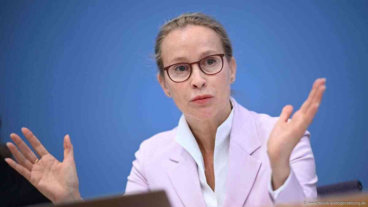 Brosius-Gersdorf gegen Leihmutterschaftsverbot: „Mit Menschenbild des Grundgesetzes nicht vereinbar“