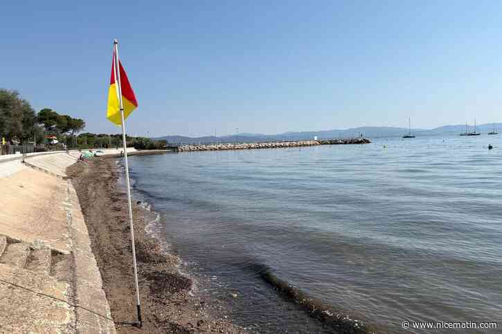« On est déçu du résultat » : malgré des efforts pour redonner un meilleur visage à la plage de la Capte, à Hyères, le pari est raté