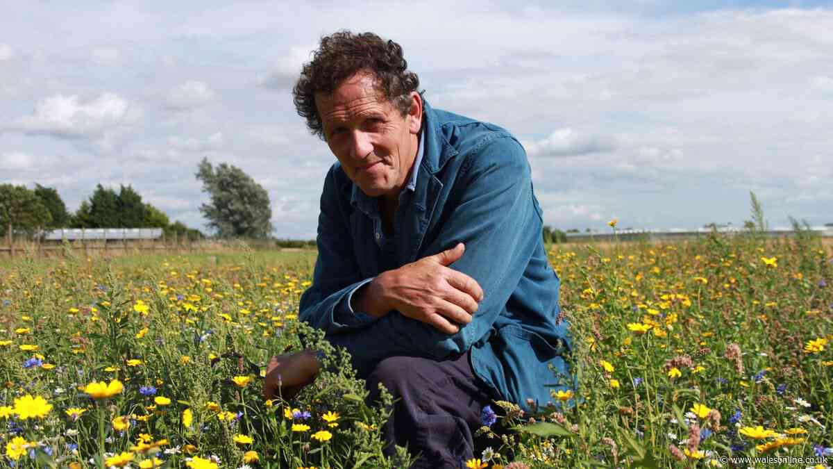 Monty Don's expert tip to 'extend flowering season' of one common plant in July
