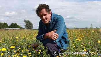 Monty Don's expert tip to 'extend flowering season' of one common plant in July