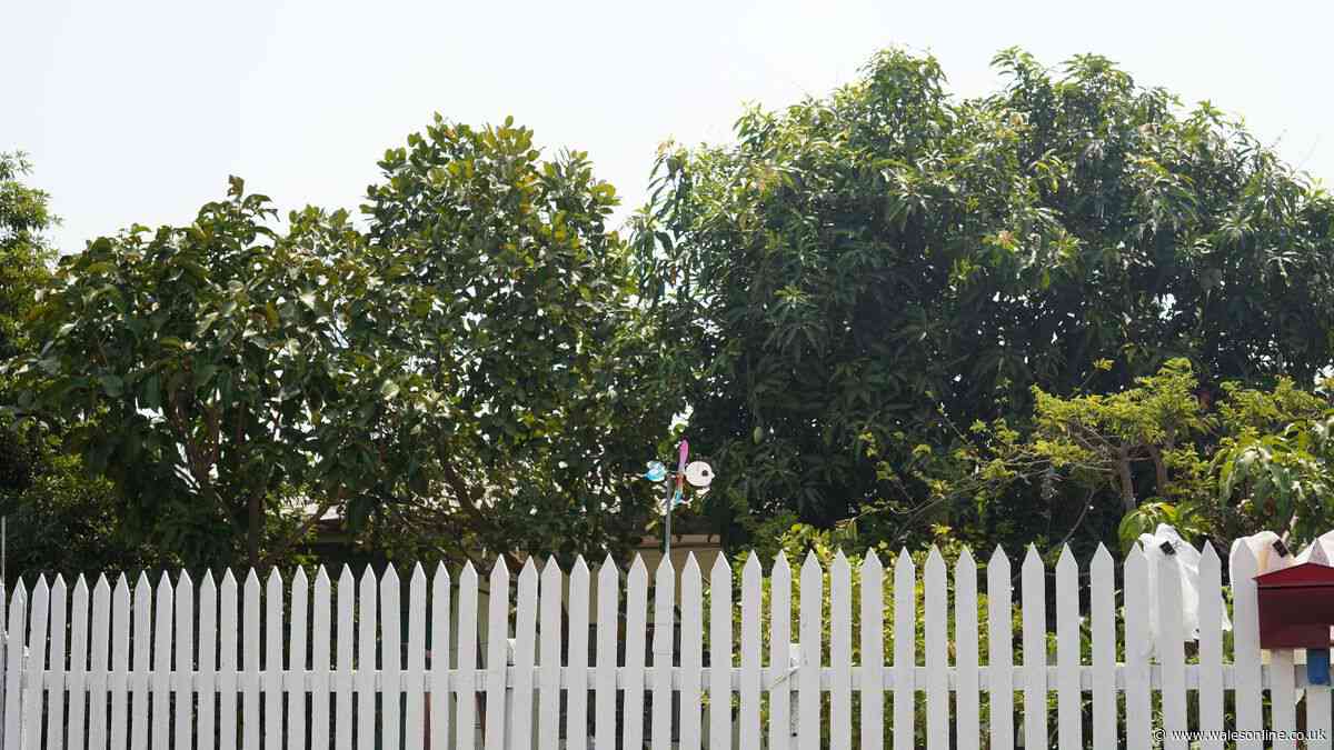 'Only' way to know for certain which neighbour needs to pay for fence repairs