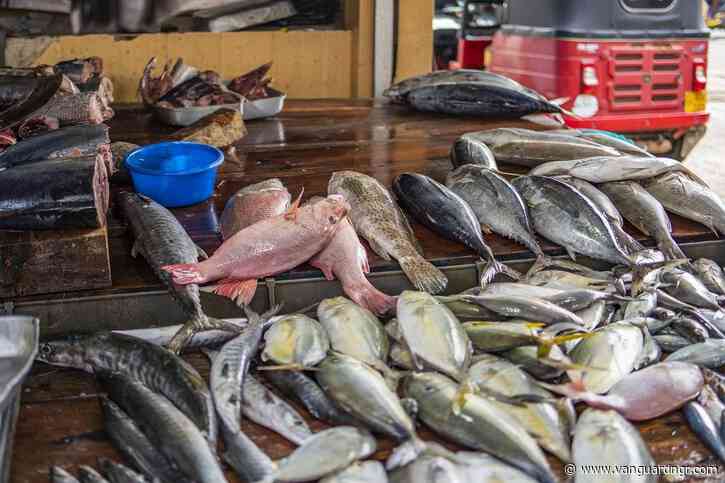 Nigeria losing jobs, forex to inconsistent fish import policy — Expert