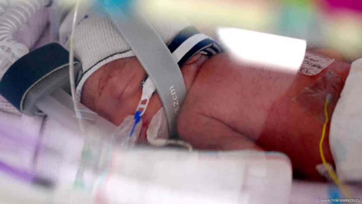 Vrouw die al vier kinderen heeft krijgt zeer zeldzame eeneiige vierling in Australië