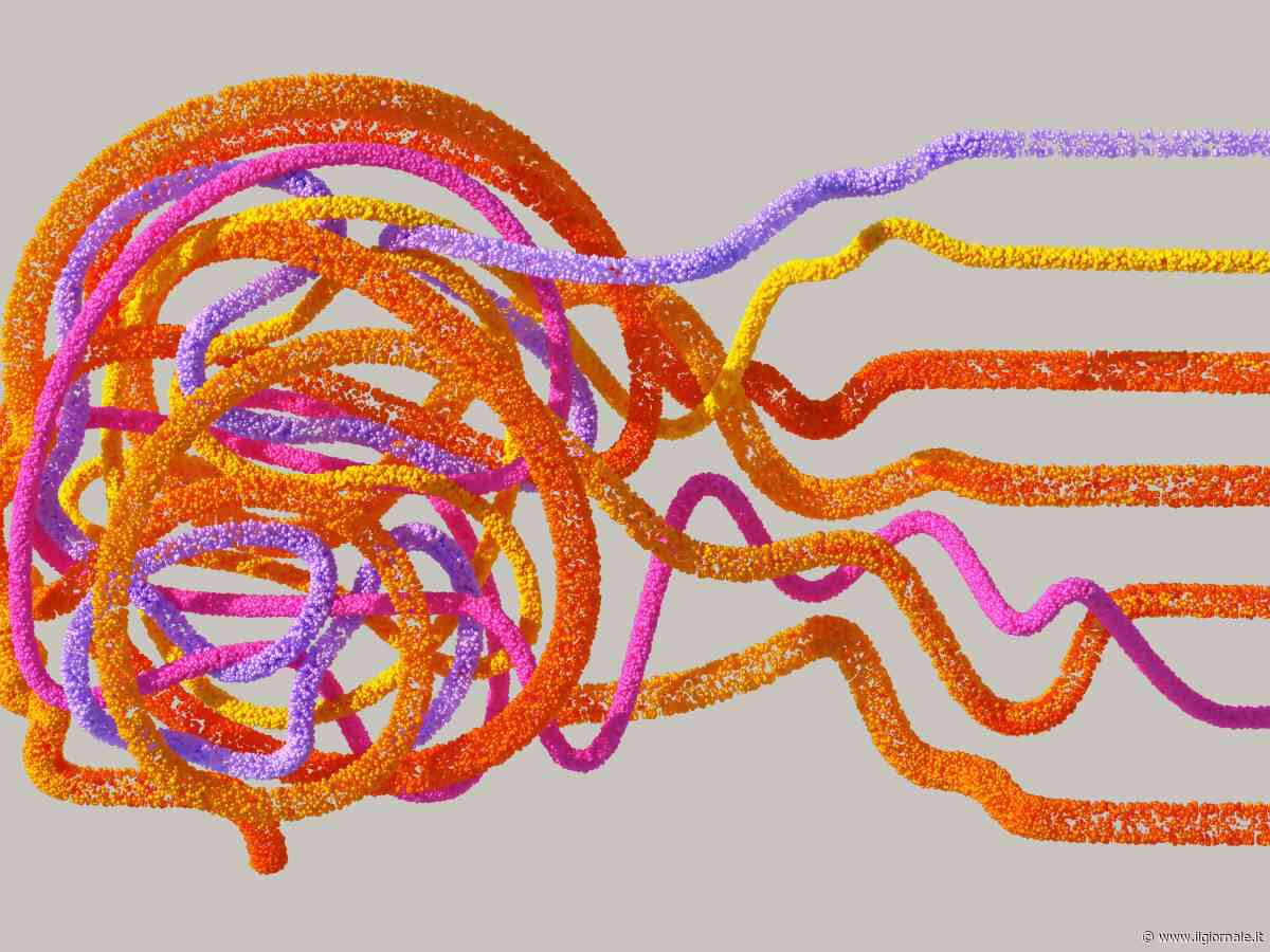 Da Cartesio all’IA: uno studio su Nature cancella l’ultimo omino nel cervello