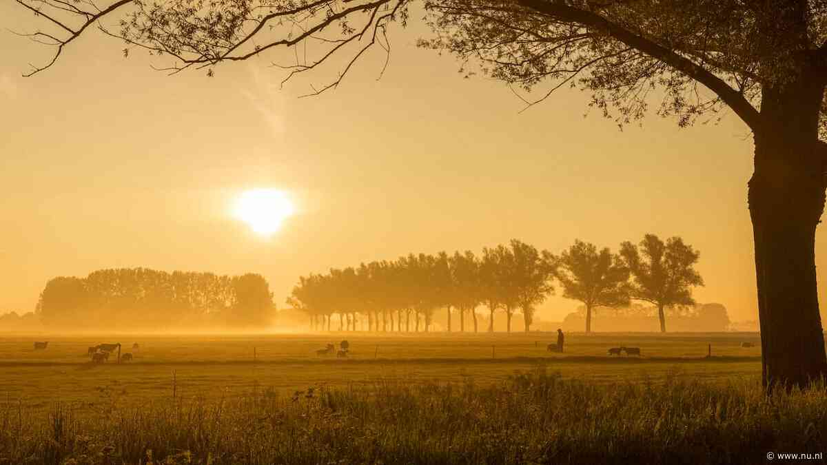 Unieke zomerse vorst aan de grond gemeten in Twente