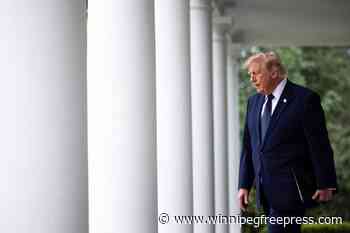 Trump and the threshold of pain