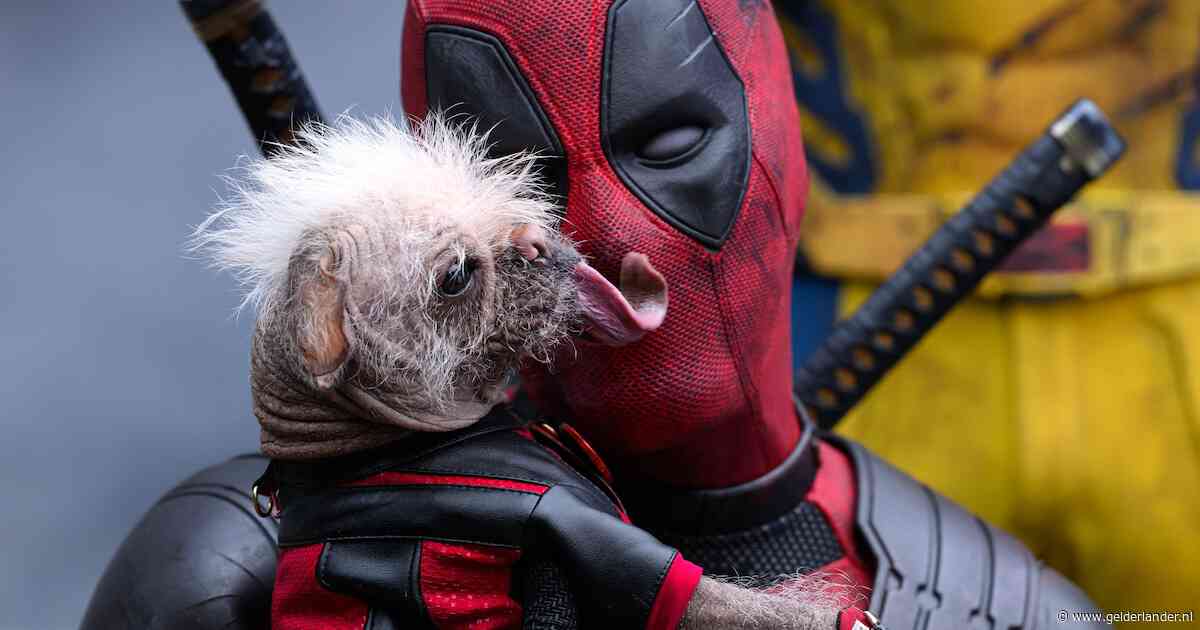 Ryan Reynolds leek klaar met superheld: ‘Maar Deadpool keert soort van terug’