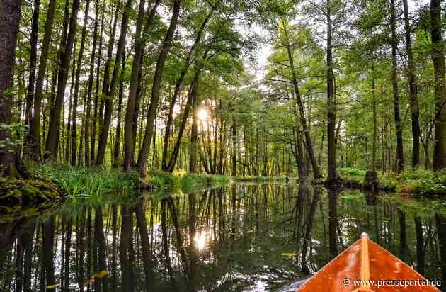 Vulkaneifel statt Island, Spreewald statt Amazonas: Airbnb zeigt die schönsten Alternativen in Deutschland zu internationalen Touristenattraktionen in der Natur