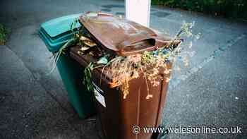 All the garden waste items you can no longer recycle under new recycling rules