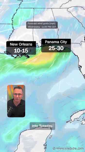 Tropical Storm Bertha forms in the Gulf
