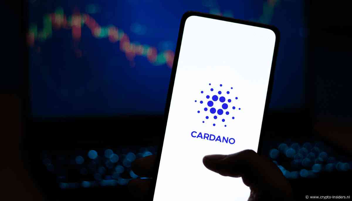 Cardano schiet vandaag omhoog: dit zit achter de opleving