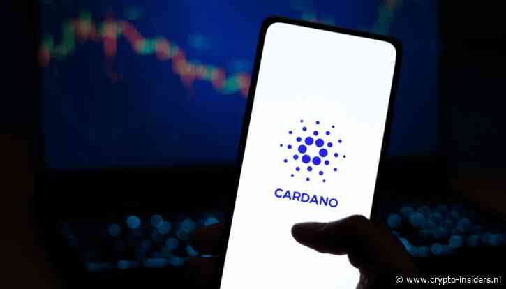 Cardano schiet vandaag omhoog: dit zit achter de opleving