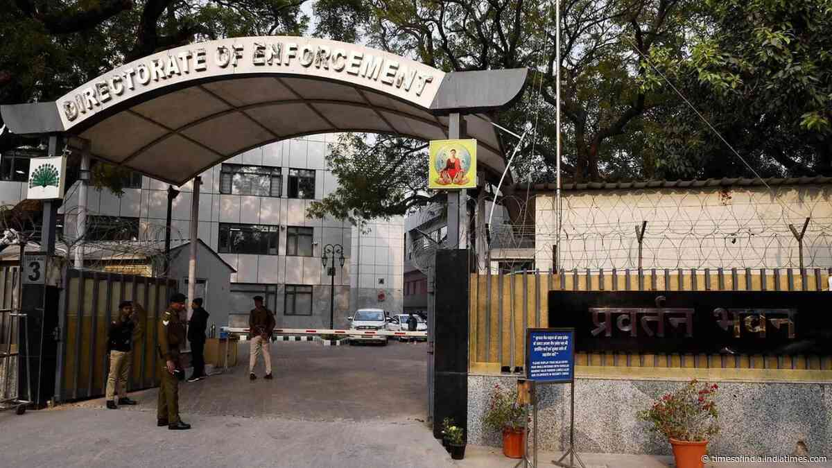 'Identified, radicalised and recruited youths': ED raids 8 Bengaluru locations in IS case
