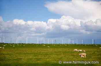Farm wind turbines could avoid full planning process