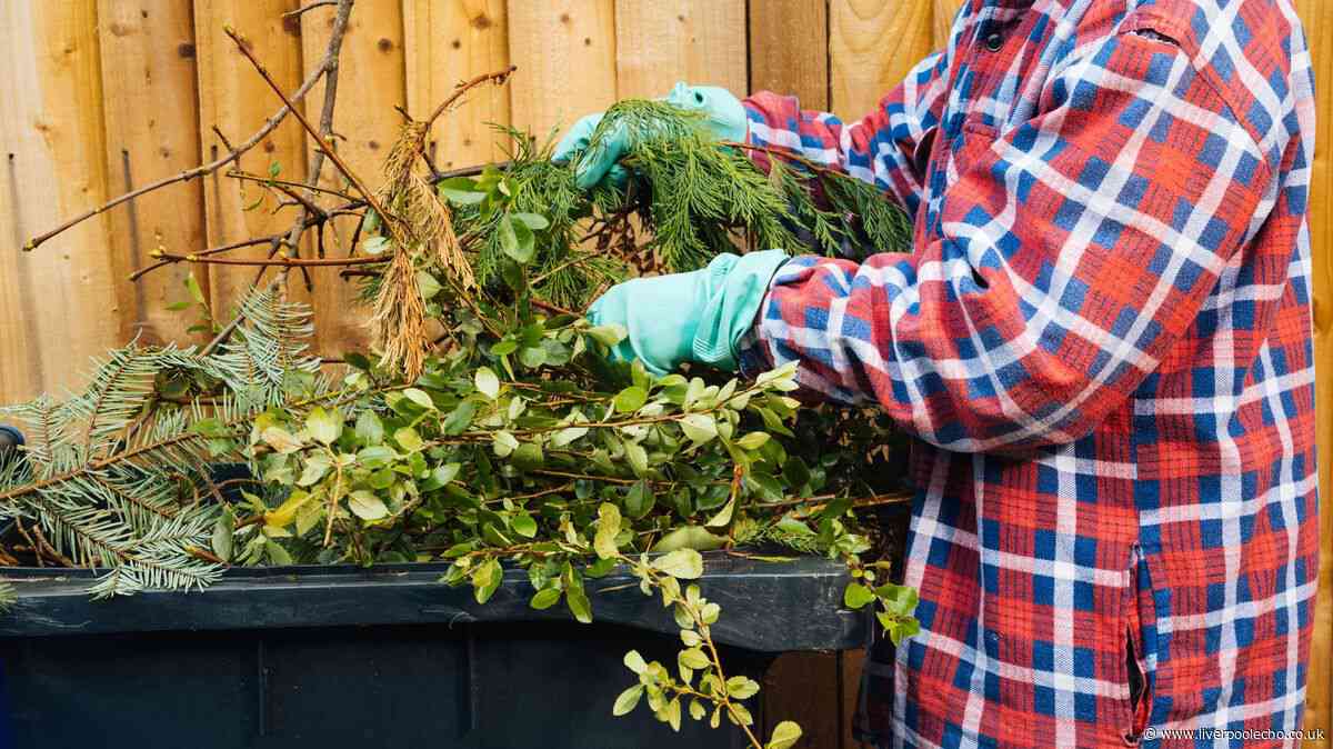 Garden items you can no longer recycle under new recycling rules — full list