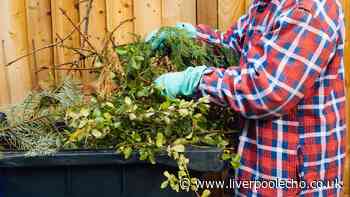 Garden items you can no longer recycle under new recycling rules — full list