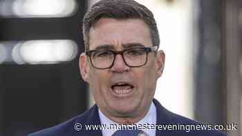 Everything you need to know on Andy Burnham's energy bills cuts and how it will work