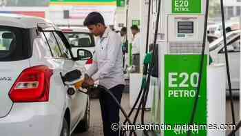 'E20 petrol may cut mileage by up to 5%, but doesn't damage engines': Govt tells Parliament