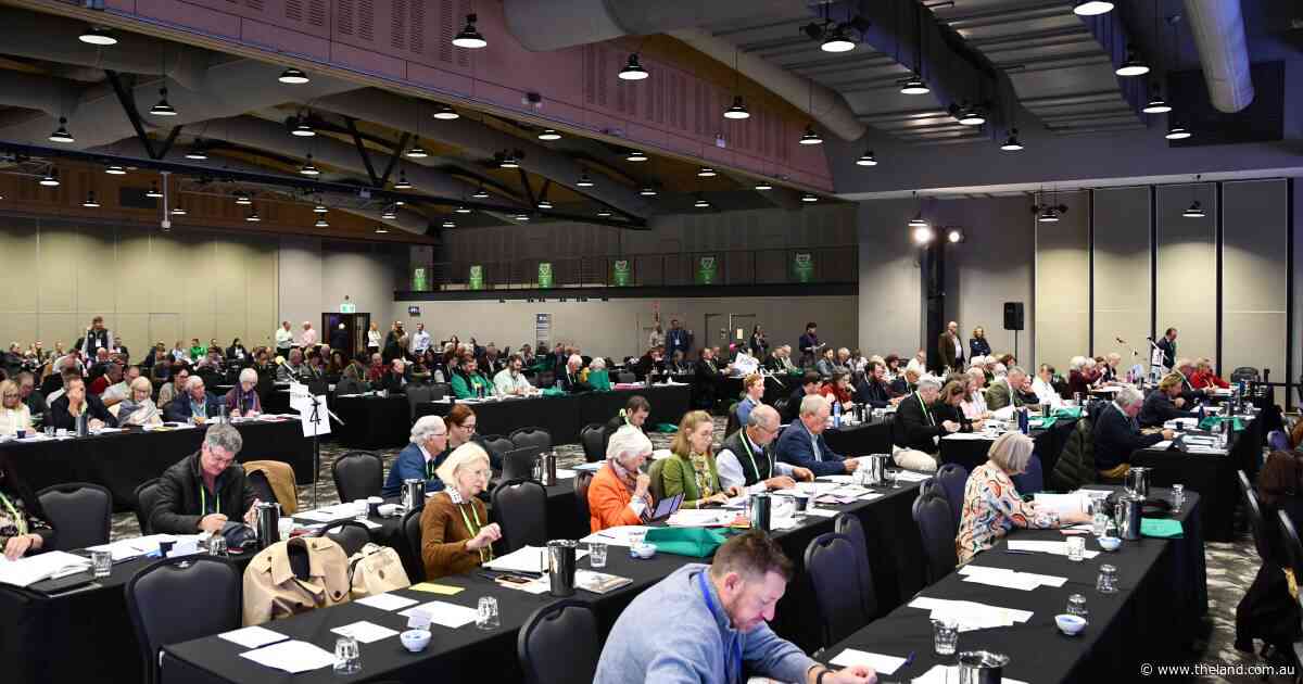 Guns, water rights, and renewables: catch up on the latest from NSW conference