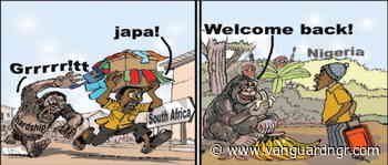 Cartoon: ‘Bros, welcome back to home of monkey business’