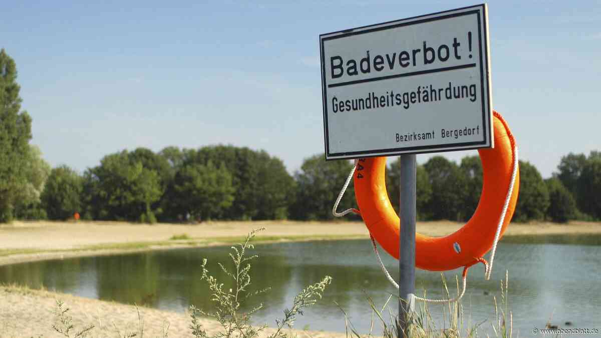 Beliebter See in Hamburg erneut für den Badebetrieb gesperrt