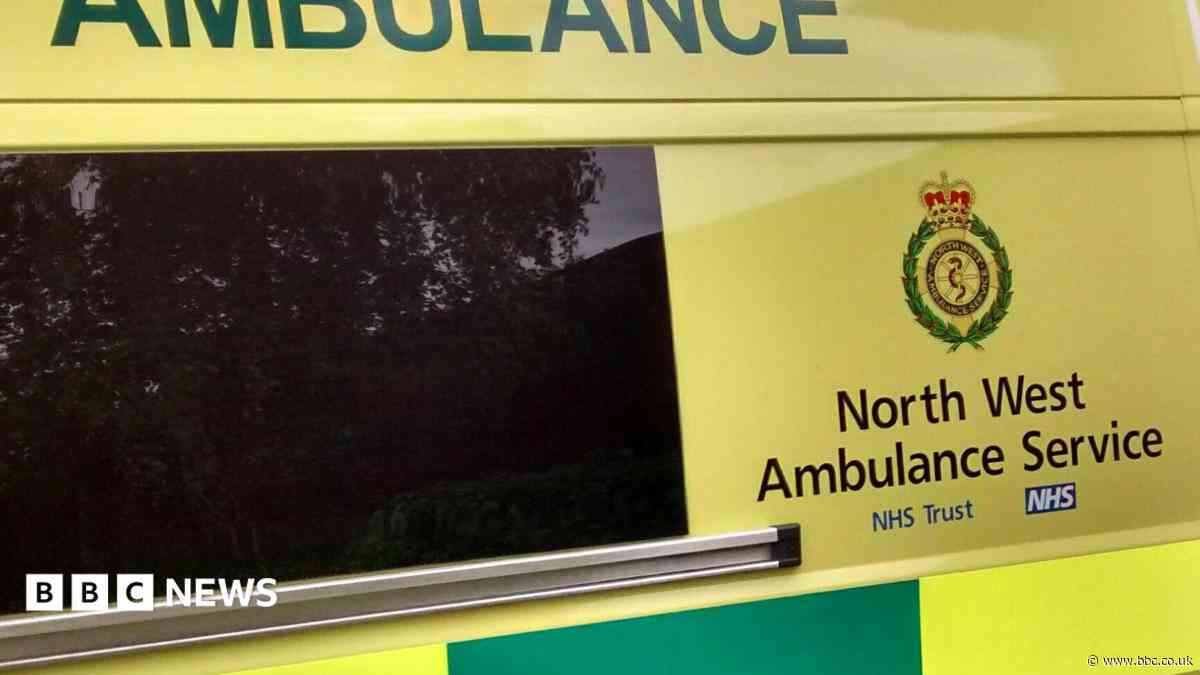 Boy, 3, dies after falling into pond