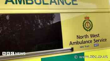 Boy, 3, dies after falling into pond