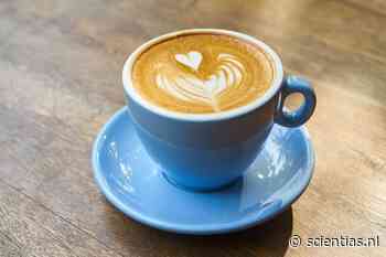 Alles over koffie en gezondheid: zoveel kopjes kun je met een gerust hart drinken